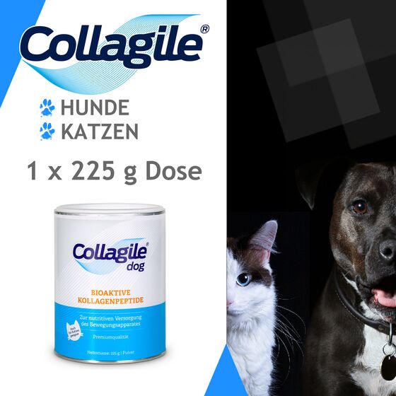 Collagile dog - auch fr Katzen geeignet 1 Dose 